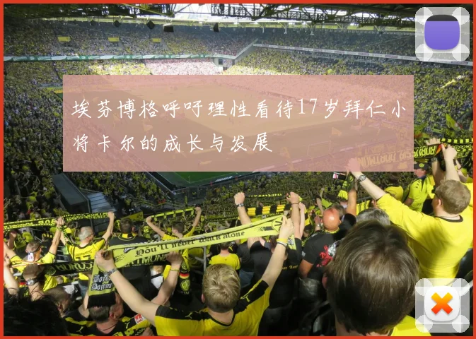 埃芬博格呼吁理性看待17岁拜仁小将卡尔的成长与发展