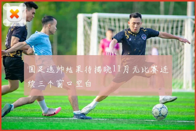 国足选帅结果待揭晓11月无比赛连续三个窗口空白