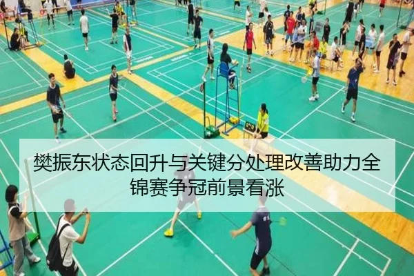 樊振东状态回升与关键分处理改善助力全锦赛争冠前景看涨（KAIYUNSPORTS）